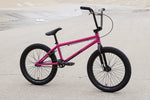 SUNDAY PRIMER 20"