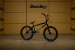 SUNDAY PRIMER 20"