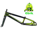ICE RAPTOR FRAME CITRIK