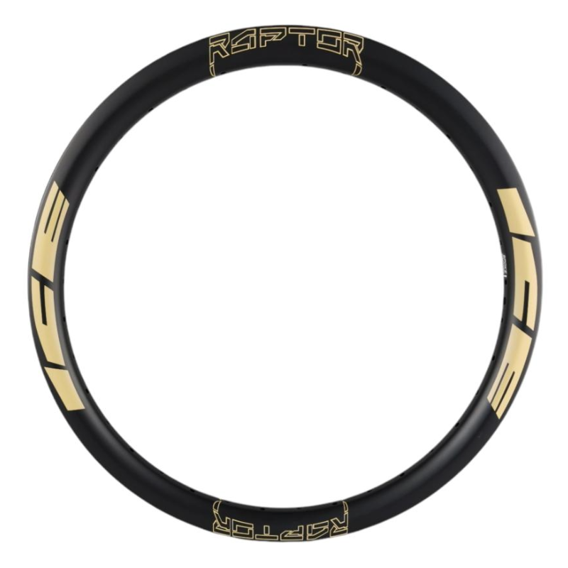 ICE ELEMENT RAPTOR PRO CARBON RIM 20