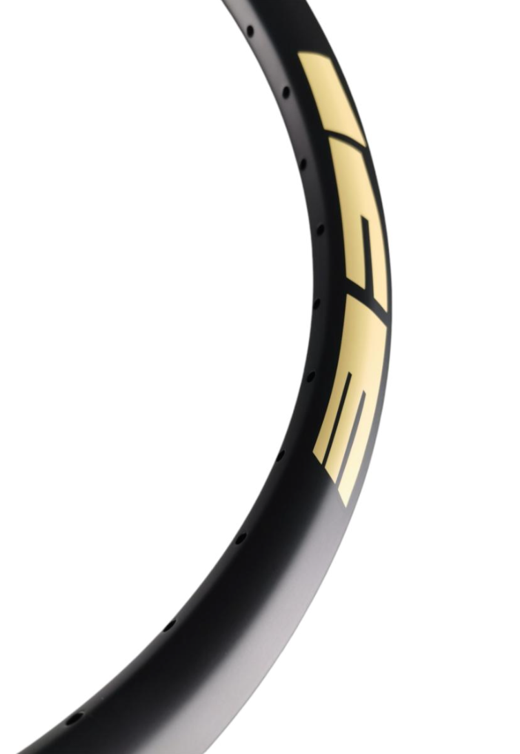 ICE ELEMENT RAPTOR PRO CARBON RIM 20